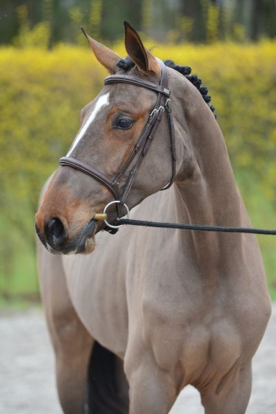 qui-vive-van-t-imdehof-45 qui-vive-van-t-imdehof-45