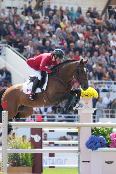 Dieu Merci van T&L Z