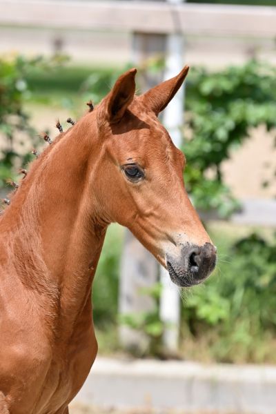 h04-20210703-ga72577-large h04-20210703-ga72577-large