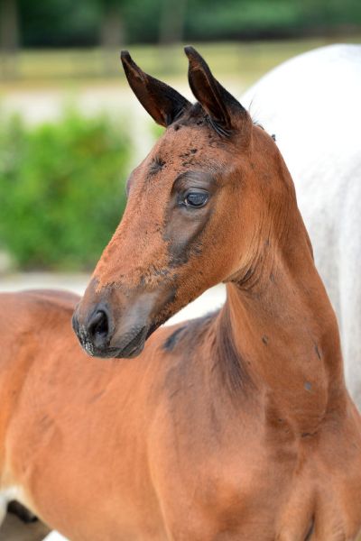 20200725-ga76216-1 20200725-ga76216-1