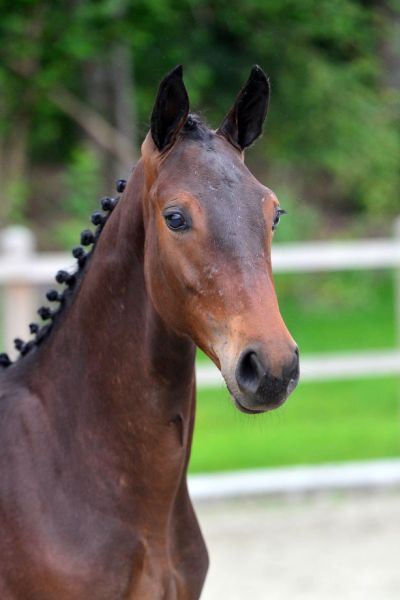 h-providence-2 h-providence-2