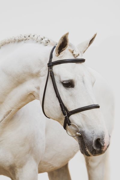 ASKARI x CARTHAGO Z Asca Z