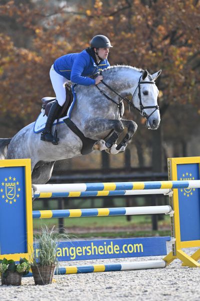 Allroad 2000 Z Allroad 2000 Z