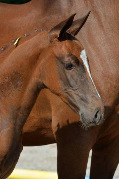 its-special-3 its-special-3