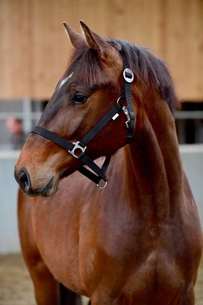 20180404-ga65038 20180404-ga65038