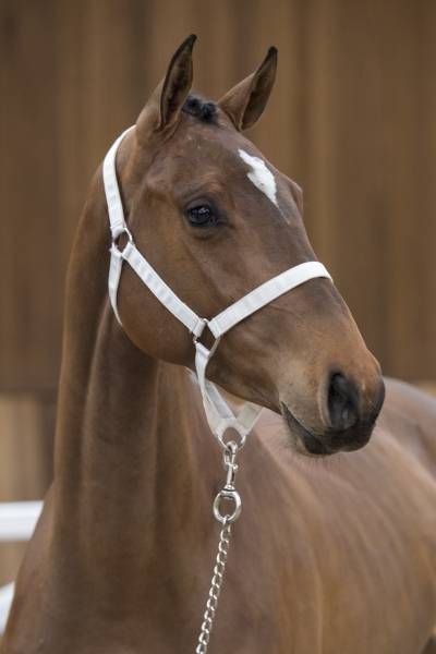 2018314-03-18-a-64065 2018314-03-18-a-64065