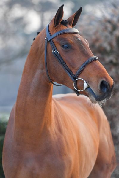 turbo-jw-v-h-gebergte turbo-jw-v-h-gebergte