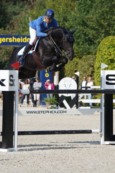 DOMINATOR 2000 Z x CHELLANO Z Querido VG Z