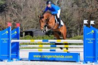 amedee-van-t-heike-z-78