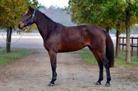 desiree-e-z-14-32-57