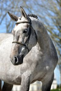 In Love JW van de Moerhoeve