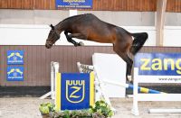 balous-satine-vh-poeleind-z-1