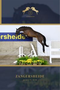 DOUBLE CLEAR VH DISTELHOF .
