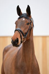 ASATIR VAN PERZI Z 3