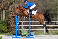 amedee-van-t-heike-z-60