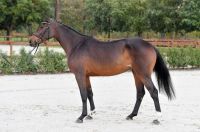 balous-satine-vh-poeleind-z