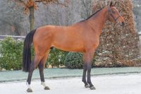 turbo-jw-v-h-gebergte-43