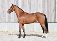 viandra-ps-29