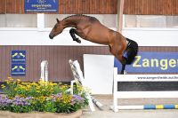 taloubette-van-t-laar-z-11
