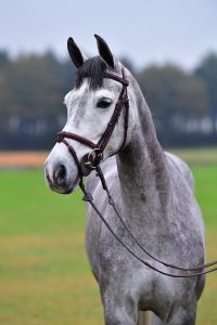 lablanca-20191118-ga66878