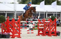 Epleaser van't Heike Z