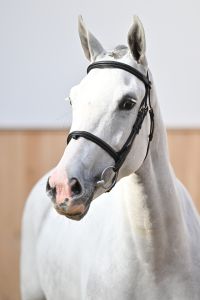 Coco Jambo Z