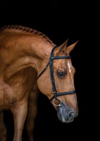 Epleaser van't Heike Z