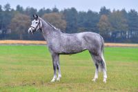 lablanca-20191118-ga66871