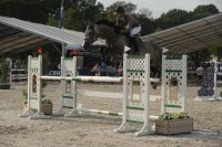 bellona-olympic-z-14
