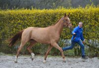 pippa-van-t-heike-48