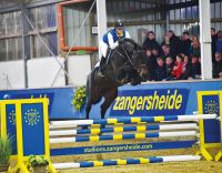 paard-querido-z-2-large