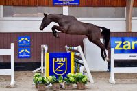 don-quichot-2000-de-betze-z