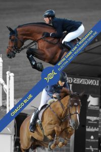 Embryo Chacco Blue x Notre Dame van 't Roosakker