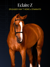 Eclaire Z