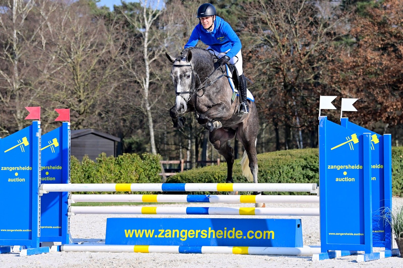 LEVISTOFLAMINGO Z Levisto Z out of international damline