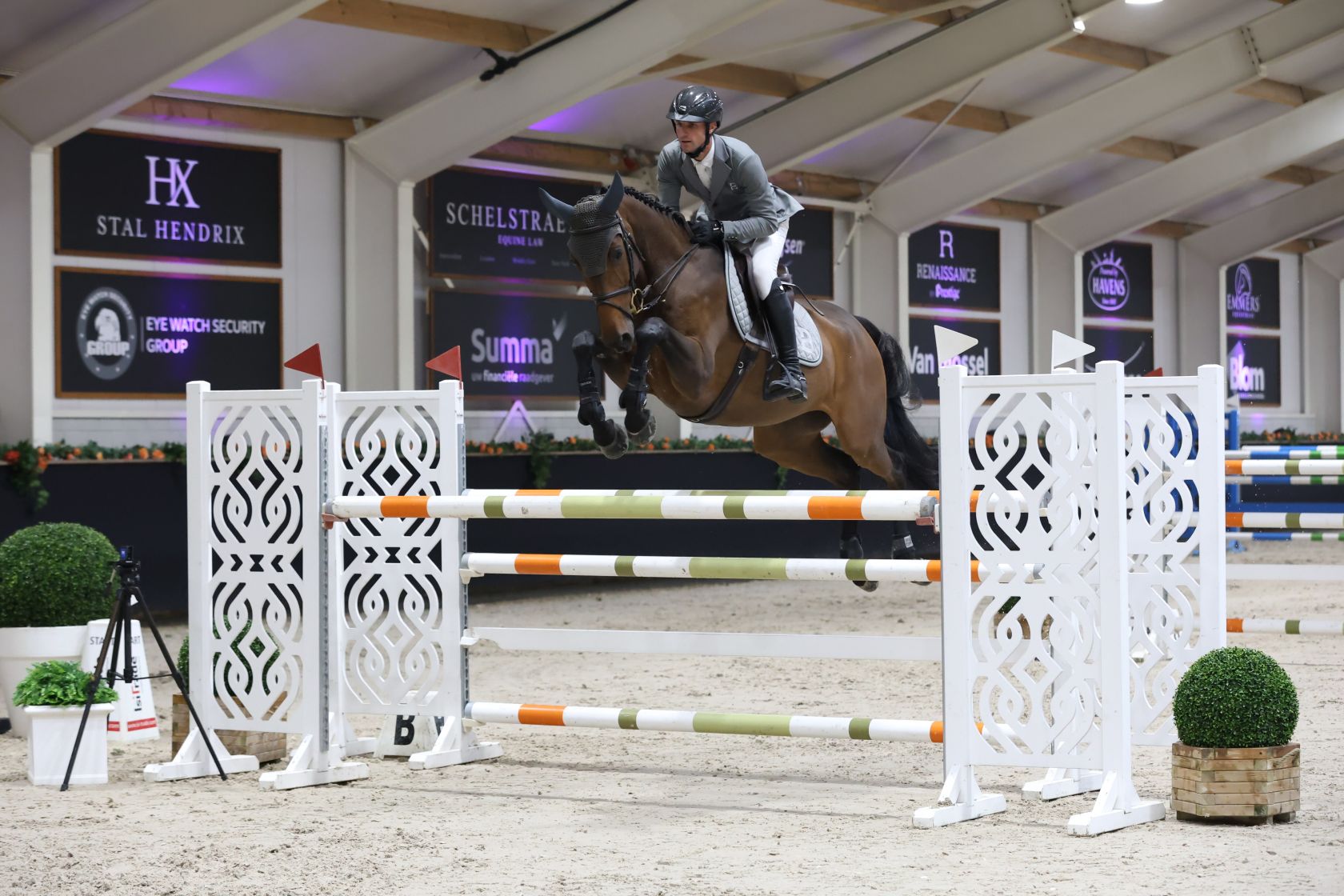 DOMINATOR 2000 Z - OUR CALLING CARD! | Studfarm Zangersheide