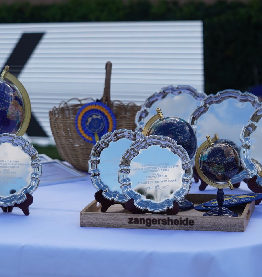 Awards FEI WBFSH World Breeding Championships for Young Horses Awards FEI WBFSH World Breeding Championships for Young Horses